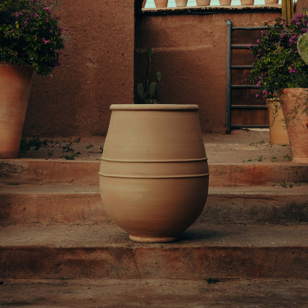 A large natural clay terracotta pot is on a brick steps outside, flanked by flower pots with purple flowers and a cactus in the background.