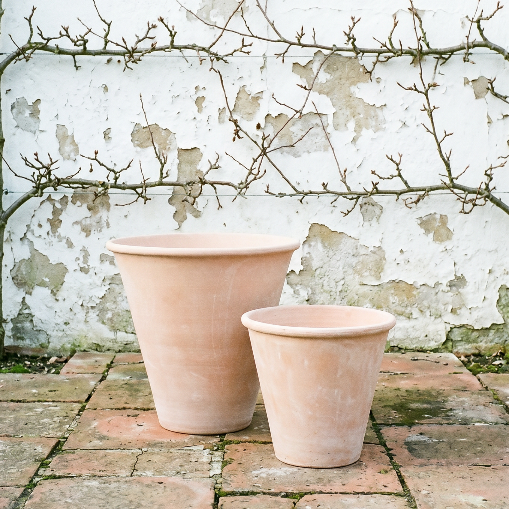 The Small Pot Classic Terracotta Pot
