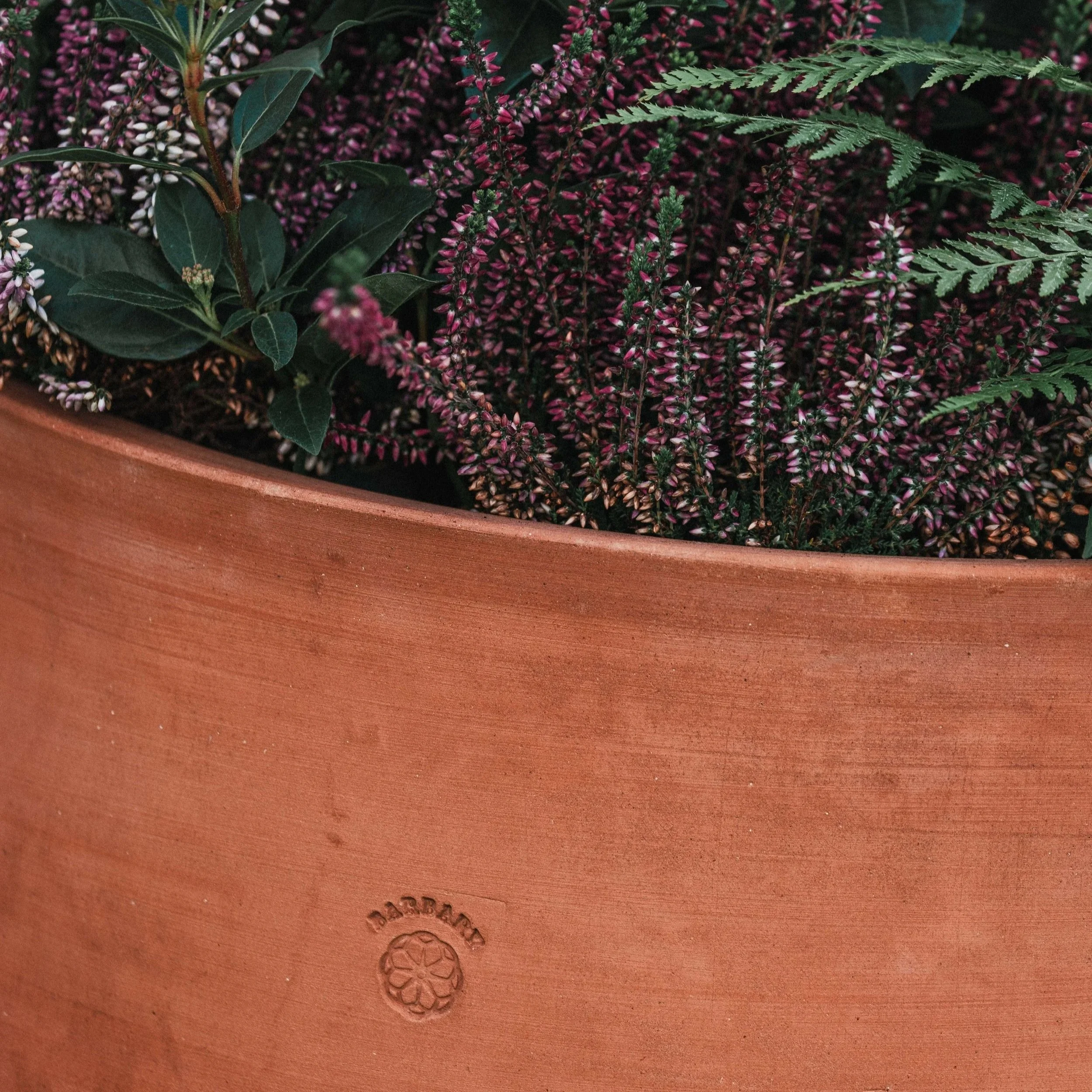 The Gueliz Terracotta Pot