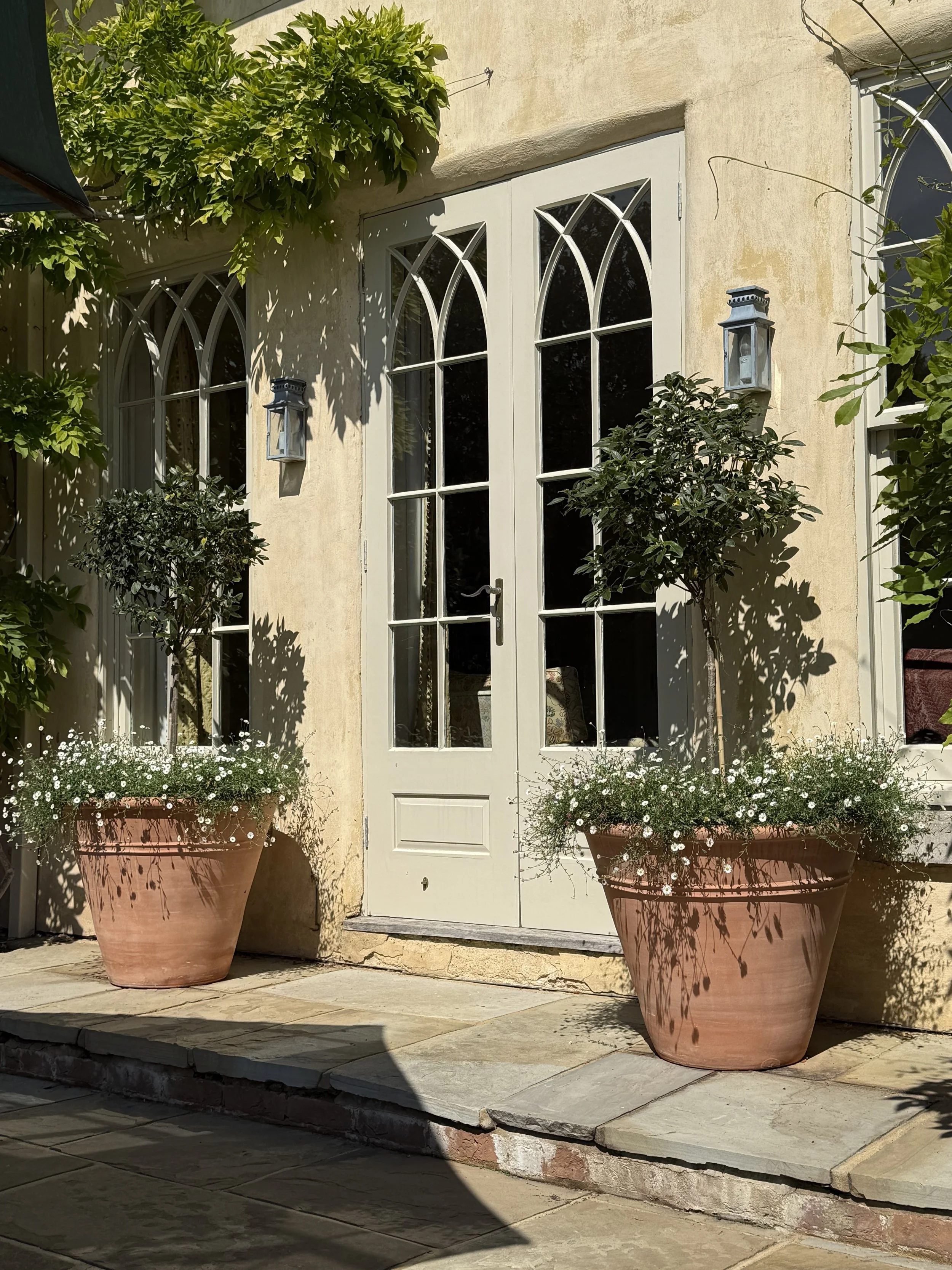 A pair of Ereves - crafted 2024, captured 2025.