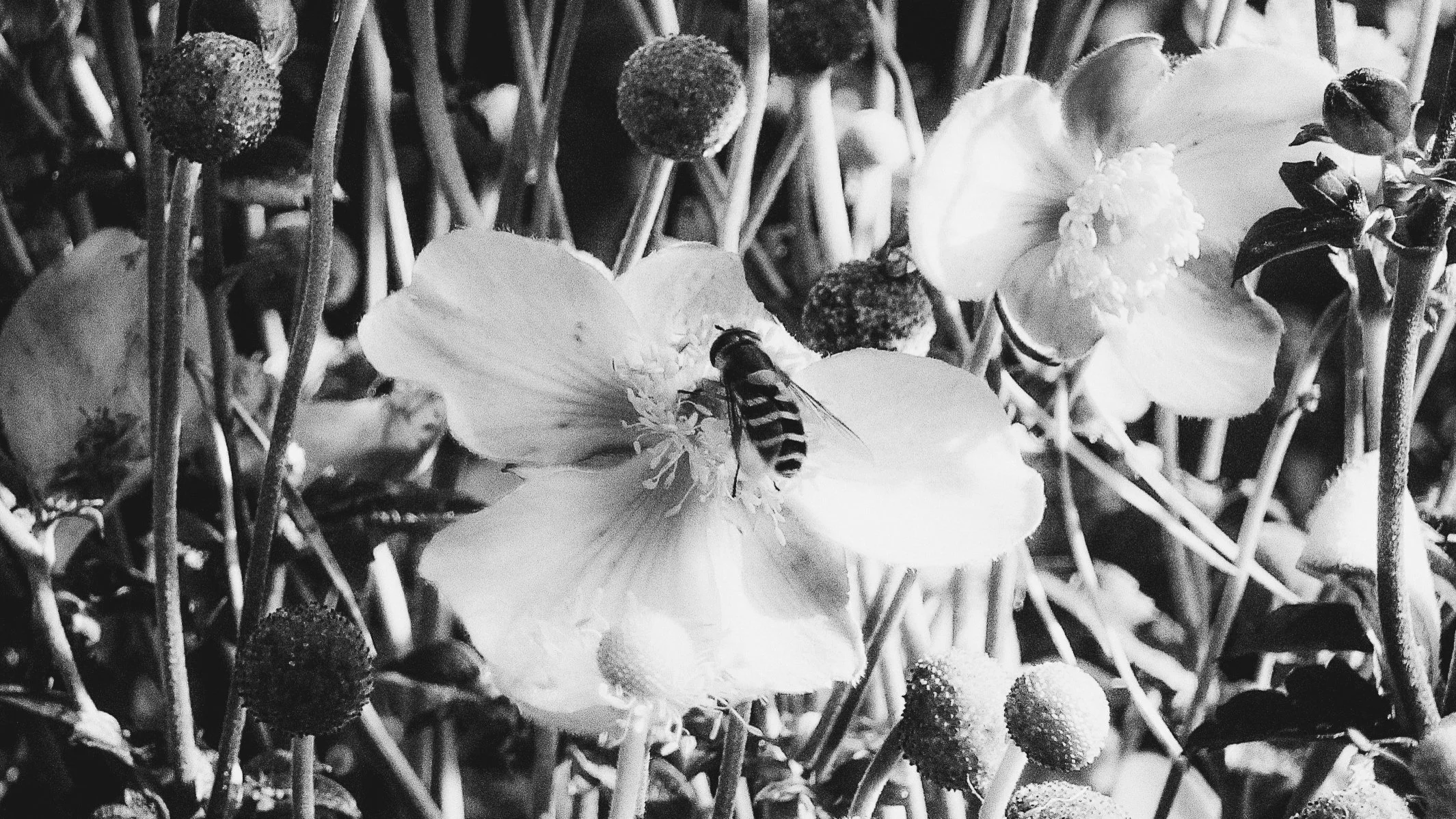 2024-09-24 15.13.28.jpg