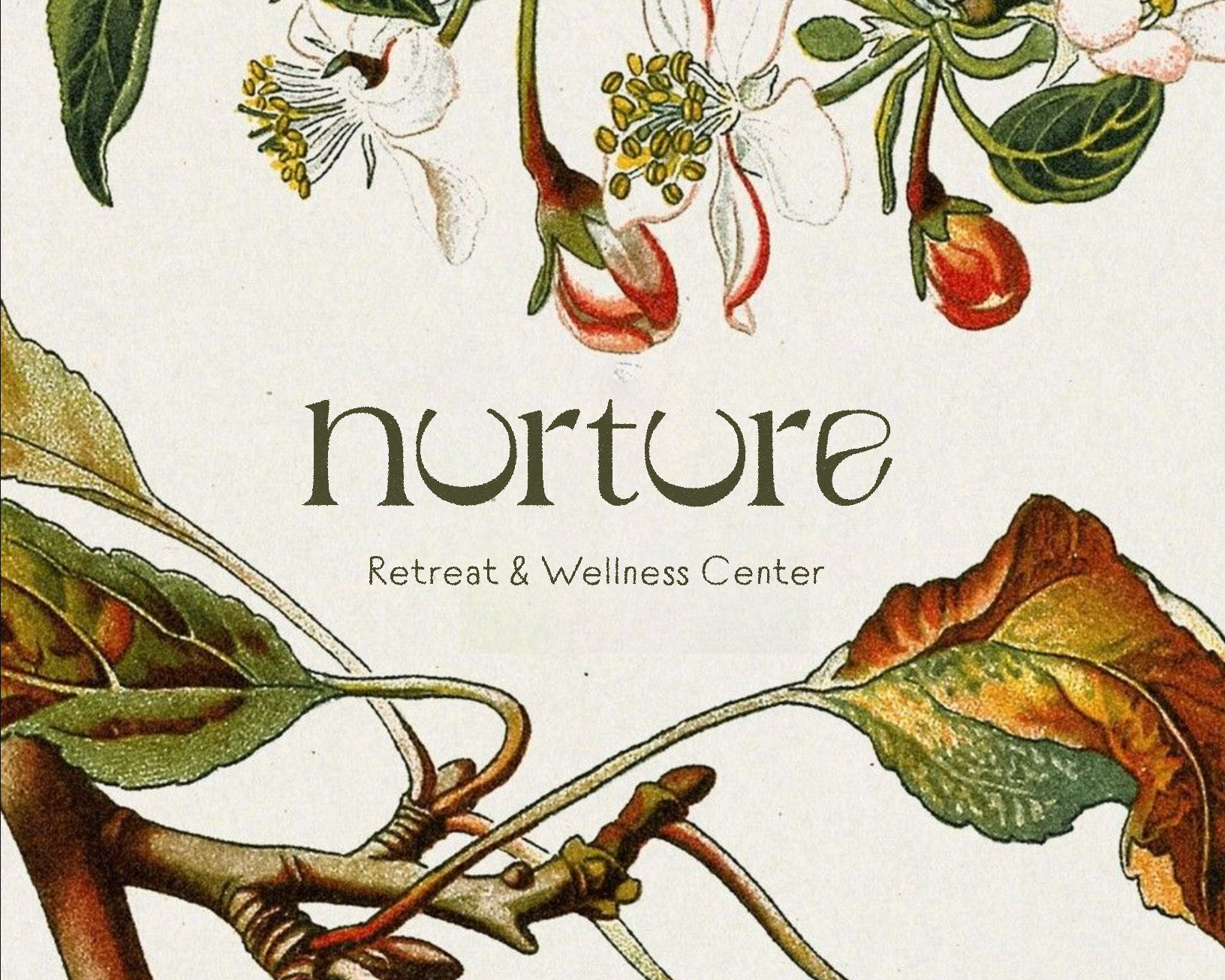 Nurture Retreat And Wellness Centre