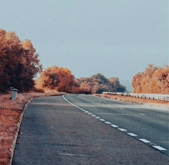 Empty winding road with trees in autumn colors on the sides and clear sky above.
