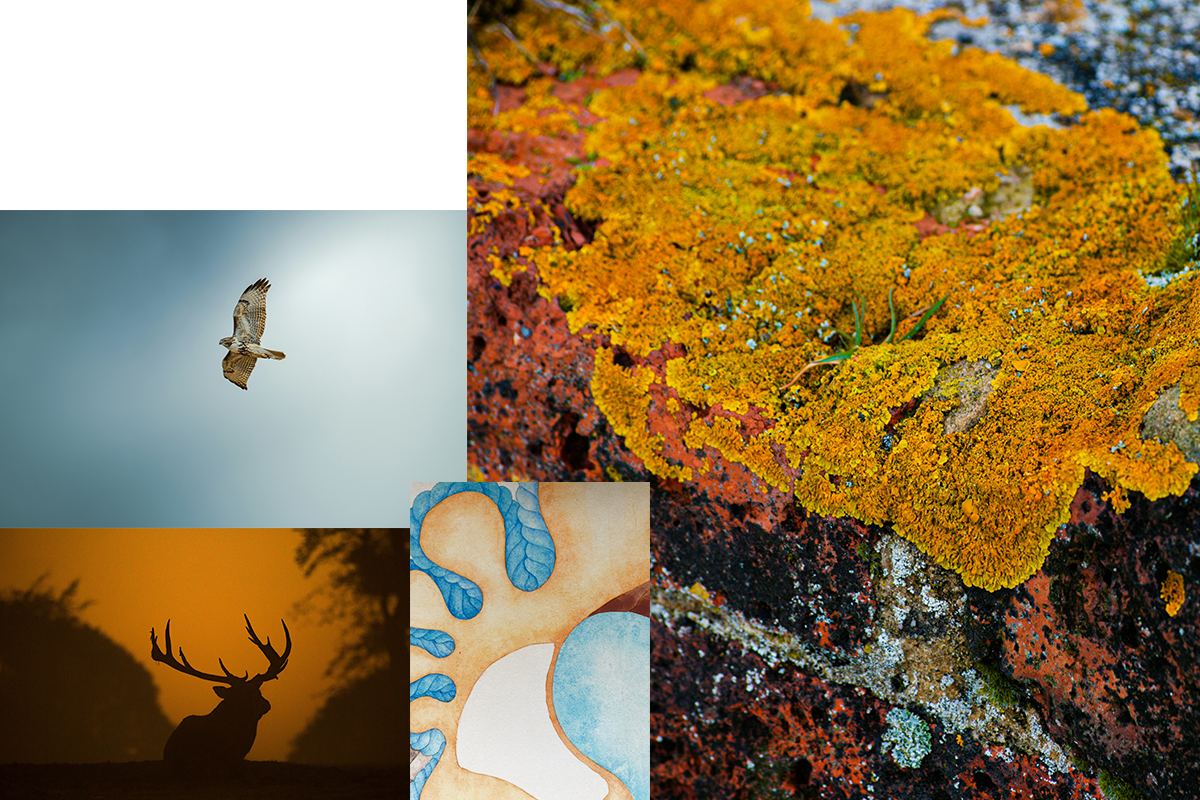 LaetitiaGuyon_CreativeProcess_InspirationetSource_1.png