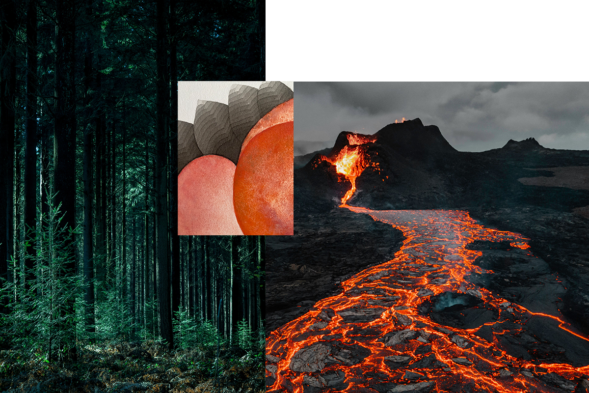 LaetitiaGuyon_CreativeProcess_InspirationetSource_2.png