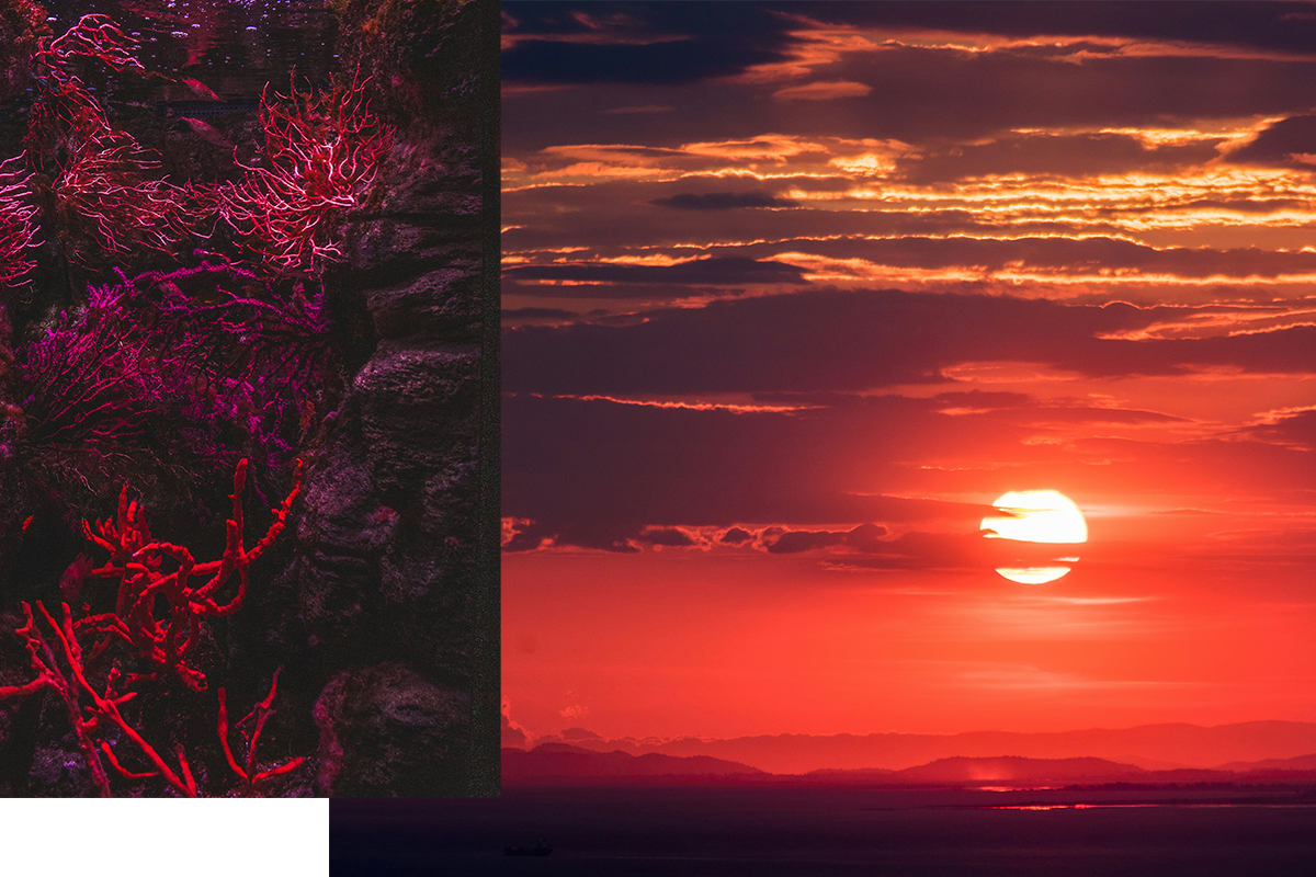 LaetitiaGuyon_CreativeProcess_SymbolicAndArchetypalDimension_4.png
