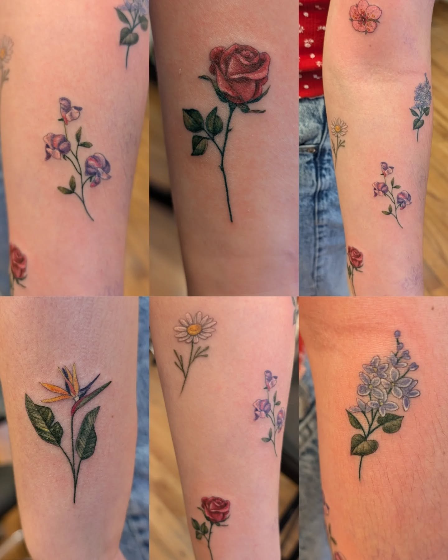 A little collage to show the beginnings of this miniature floral sleeve. Each design is approx 1.5 inches

#ottawatattoo #floraltattoo #flowertattoo