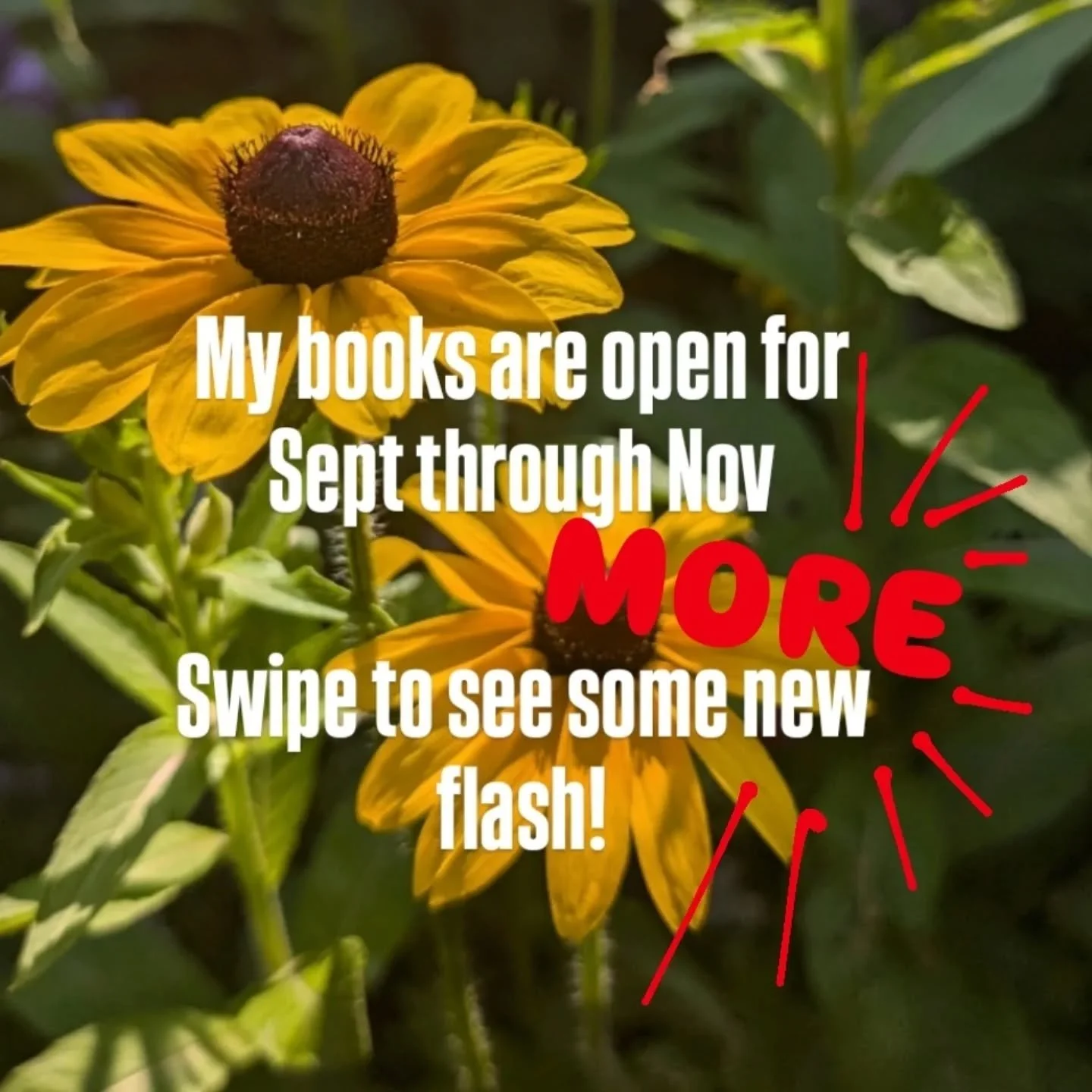 My books are open for fall and I would love to get you in!

As always I am happy to take on any custom requests, or you can snag one of my flash pieces (new or old) at my discounted flash rate!

Also, back by popular demand, my $100 minimum charge fo