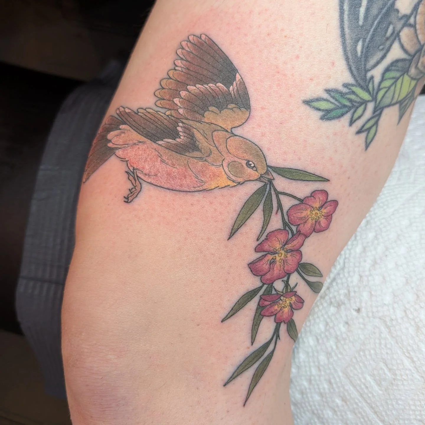 Female goldfinch and wild roses around the knee. Thank you so much for snatching up this design from my flash!