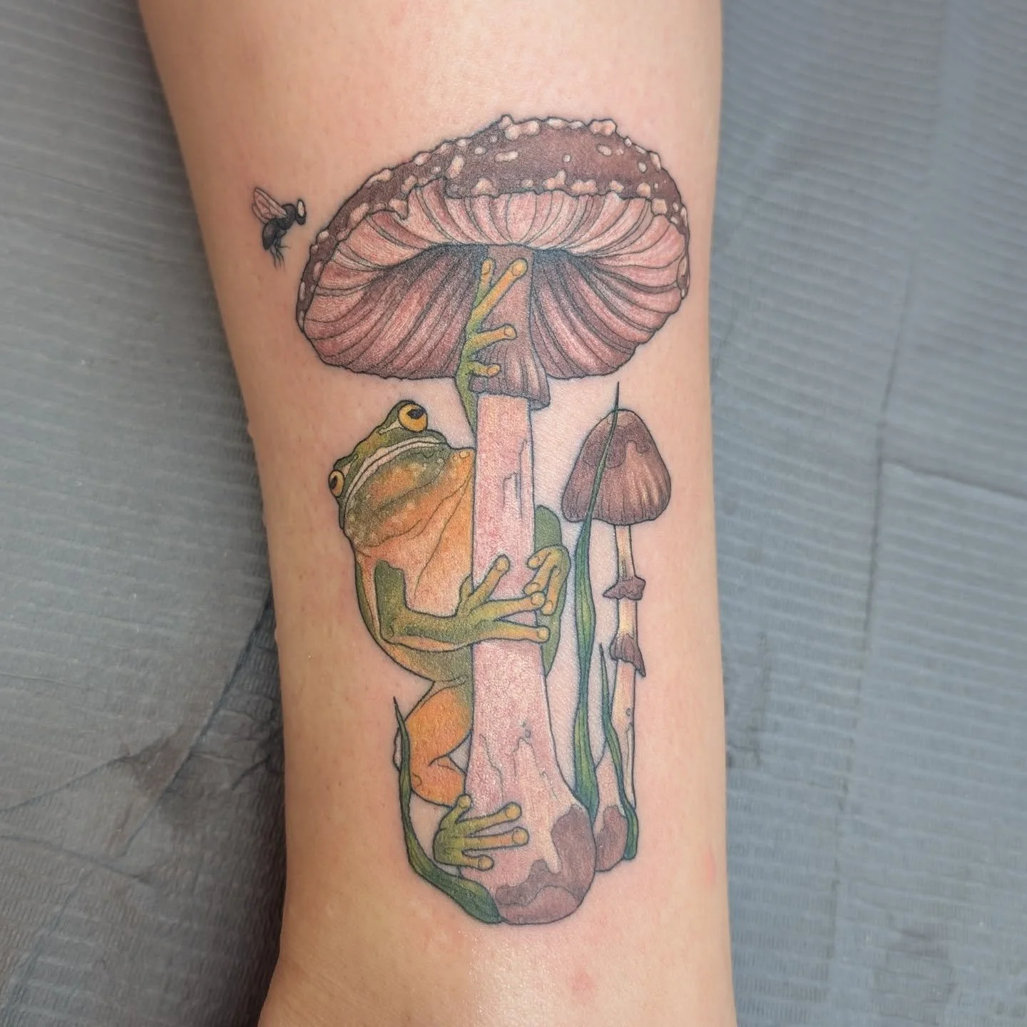 What a majestic little man!

#frogtattoo #mushroomtattoo #foresttattoo #ottawatattoo