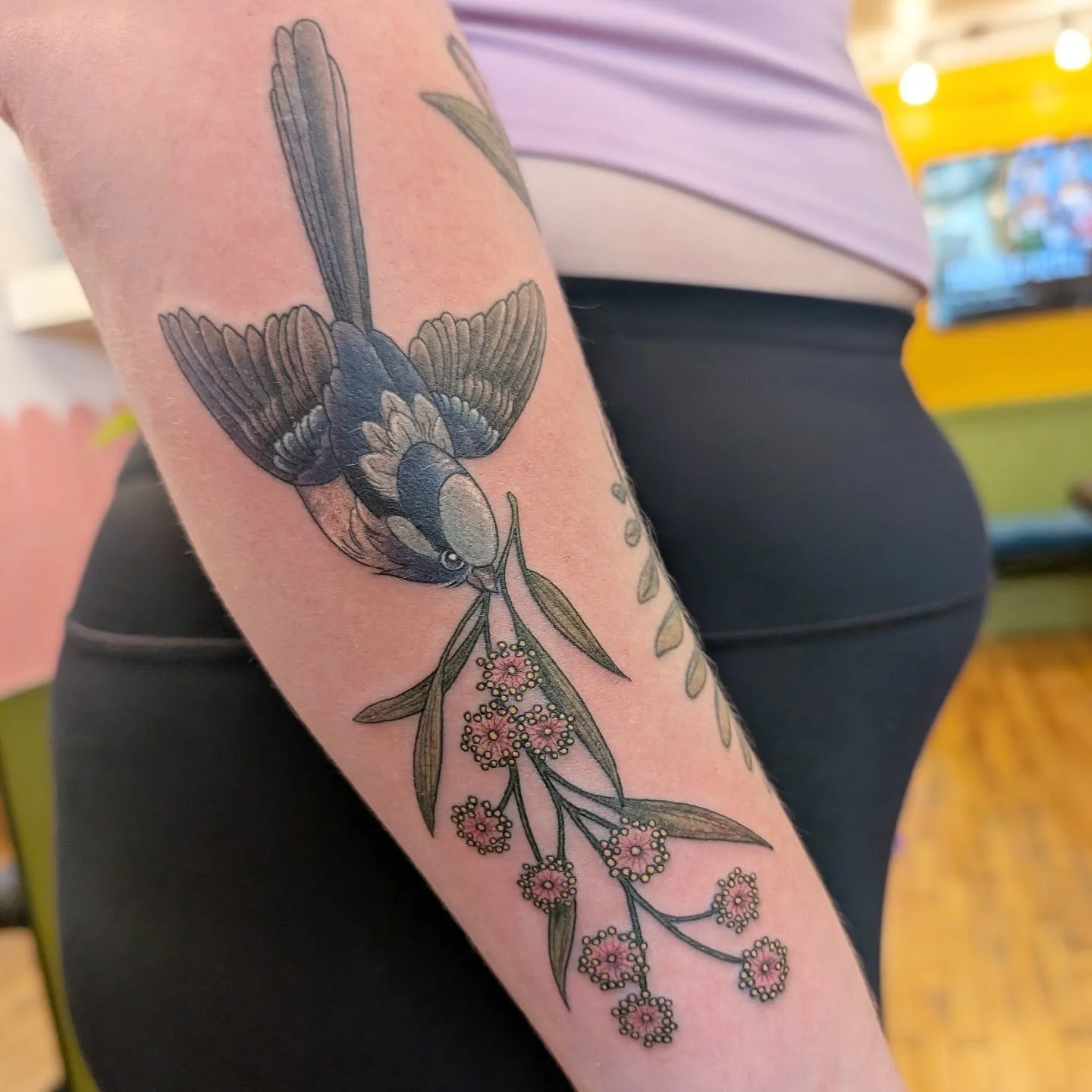 I am so happy that this Fairy Wren and Powderpuff Mimosa flash piece found a home 🥰 Thank you for snagging this!!!

#ottawatattoo #birdtattoo #flowertattoo #floraltattoo