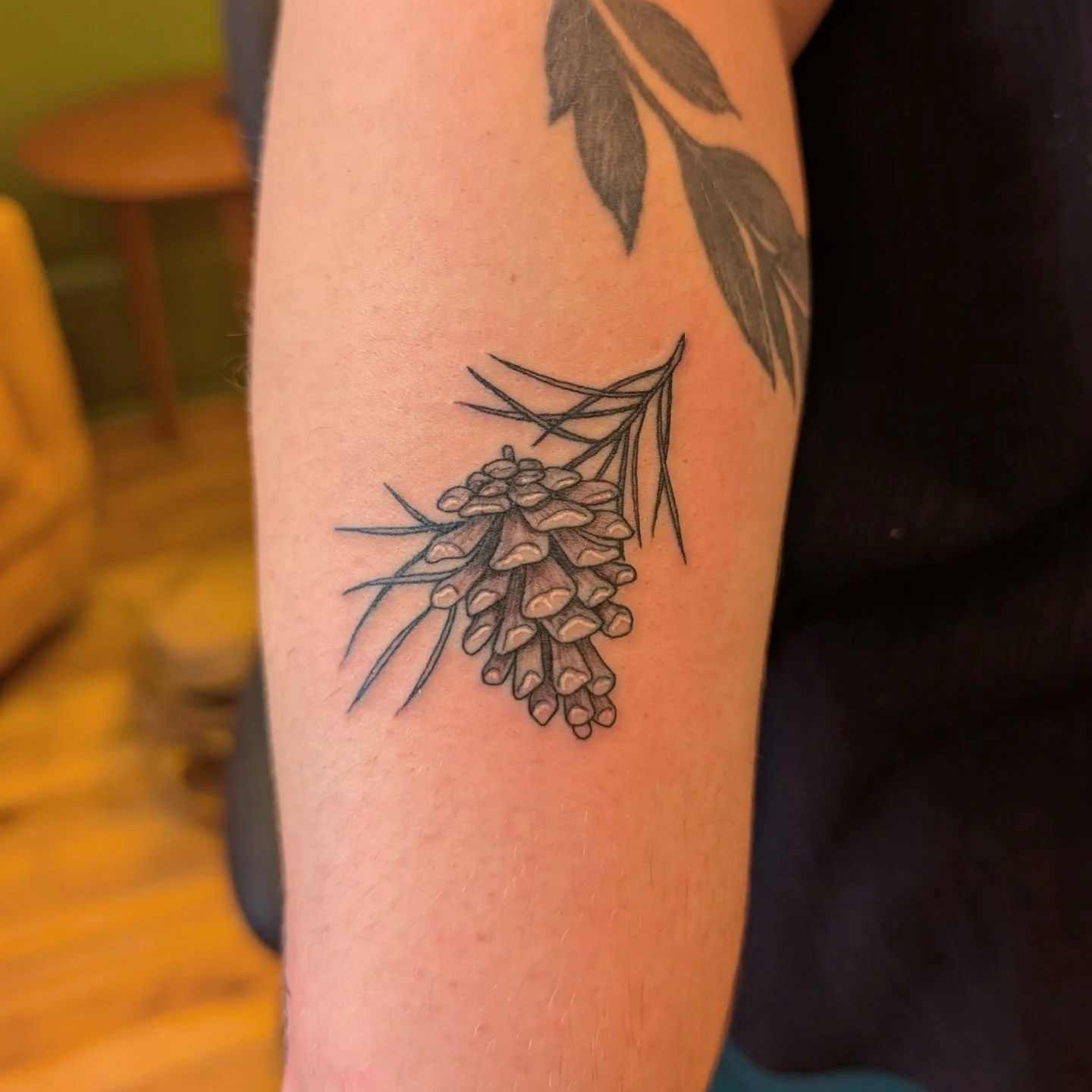 Some little filler flash :) 

#ottawatattoo #pineconetattoo