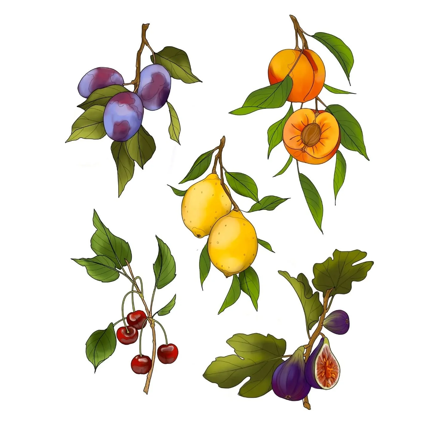 FLASH AVAILABLE! Scroll to see more!

I've had a few clients reschedule so I've got time available as early as next week, and would love to do any of these designs! I would love to see these find homes, so I will be offering them at discount :)
Colou