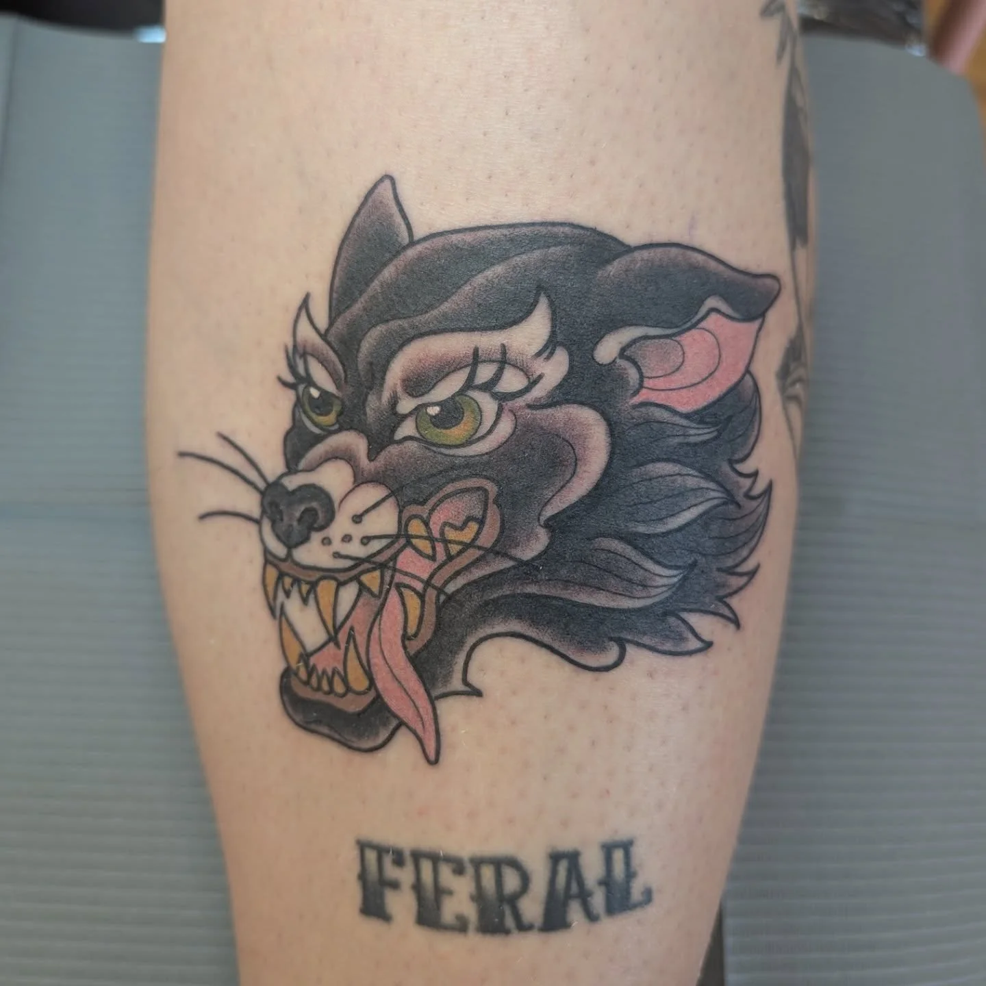 My take on a trad lady wolf and a snail in a conch shell!

#tradtattoo #wolftattoo #snailtattoo #ottawatattoo #shintattoo #shelltattoo #kingstontattoo #gatineautattoo