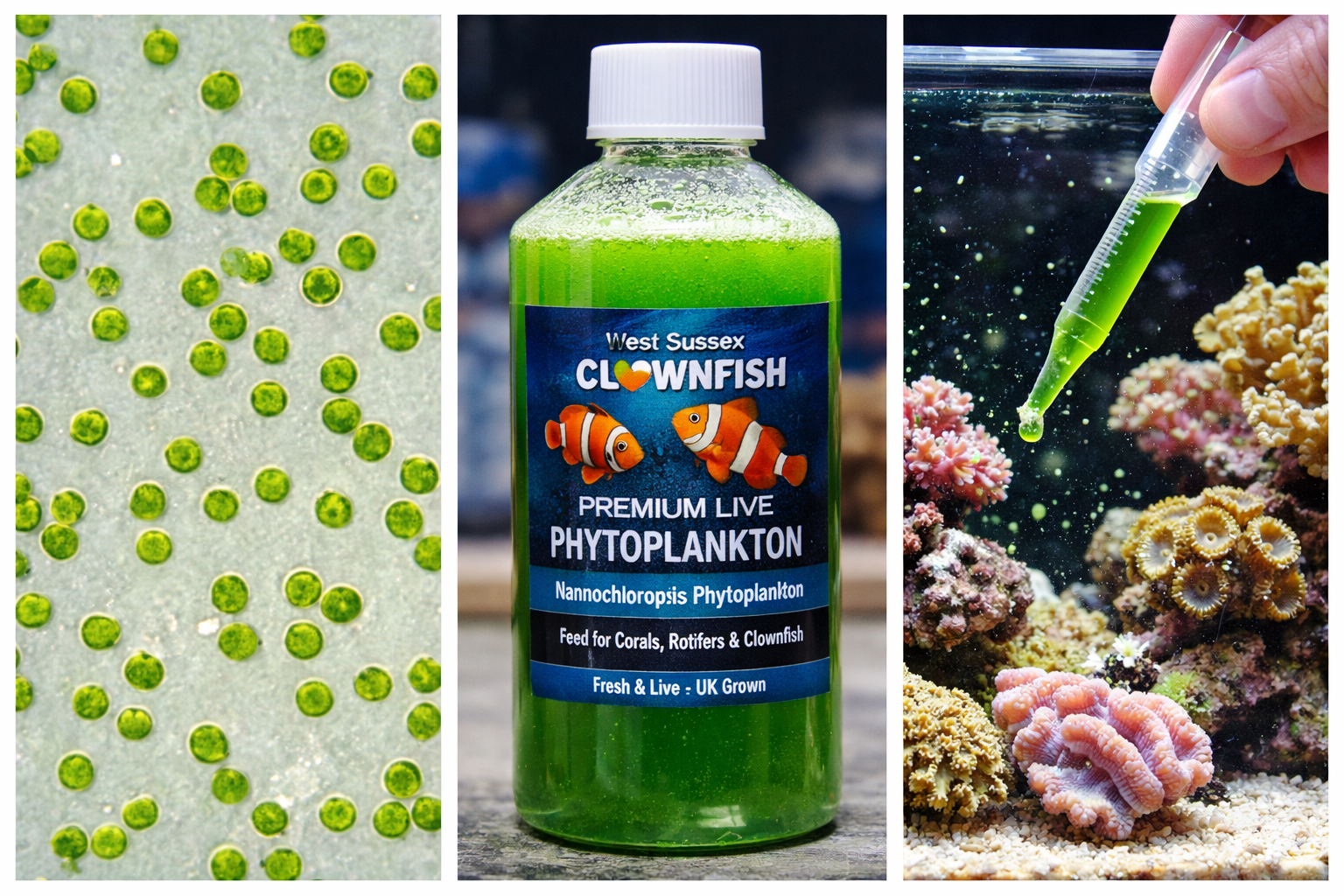 296b6c1b-b71c-4106-8528-0ae91766b886 (1).png