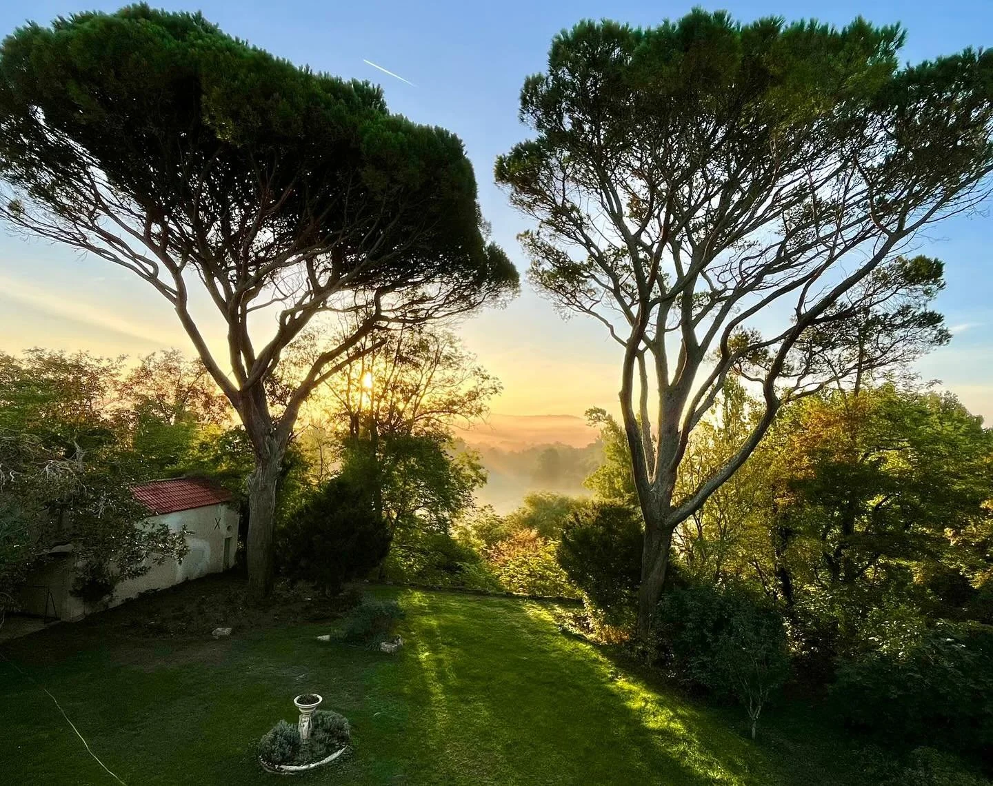 Misty mornings before sunny days here at the chateau this week ☀️
#gers #frenchchateau #southwestfrance