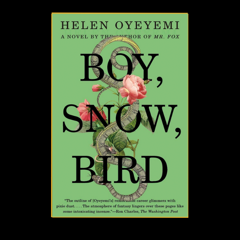 Boy, Snow, Bird