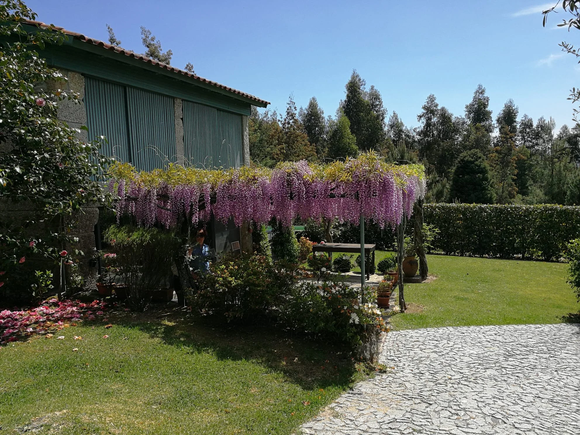 Casa do Espigueiro - Garden