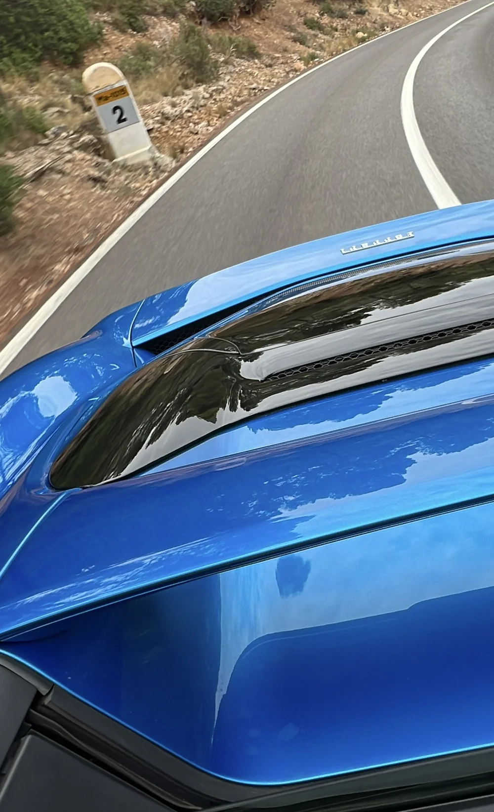 296GTS Back.jpg