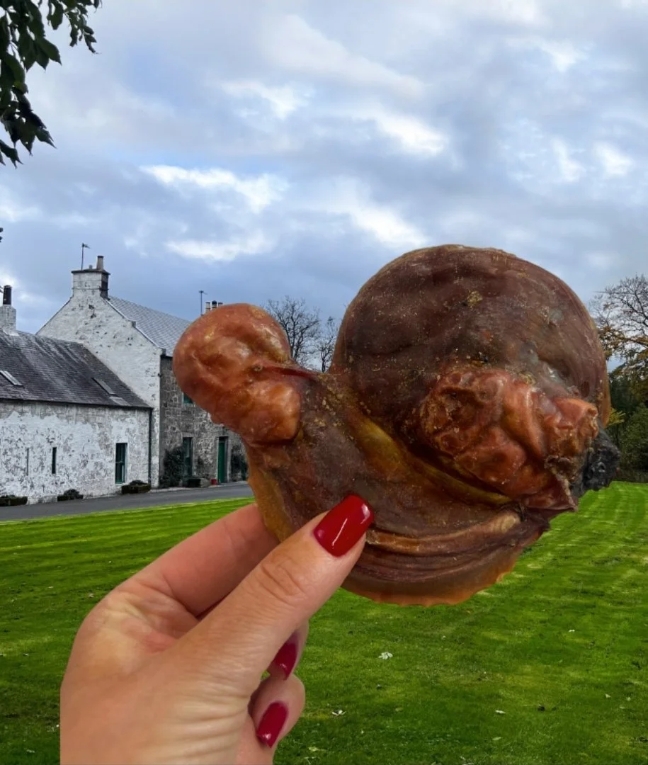 lamb testicle.jpg