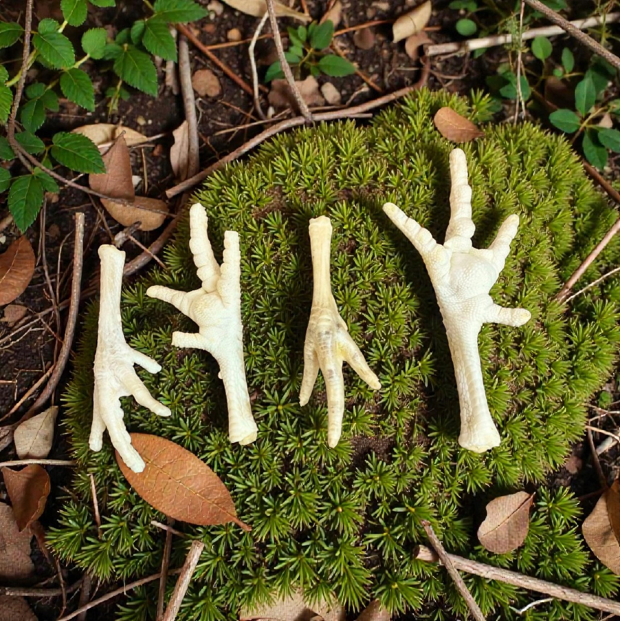 Puffed Chicken Feet (100g)