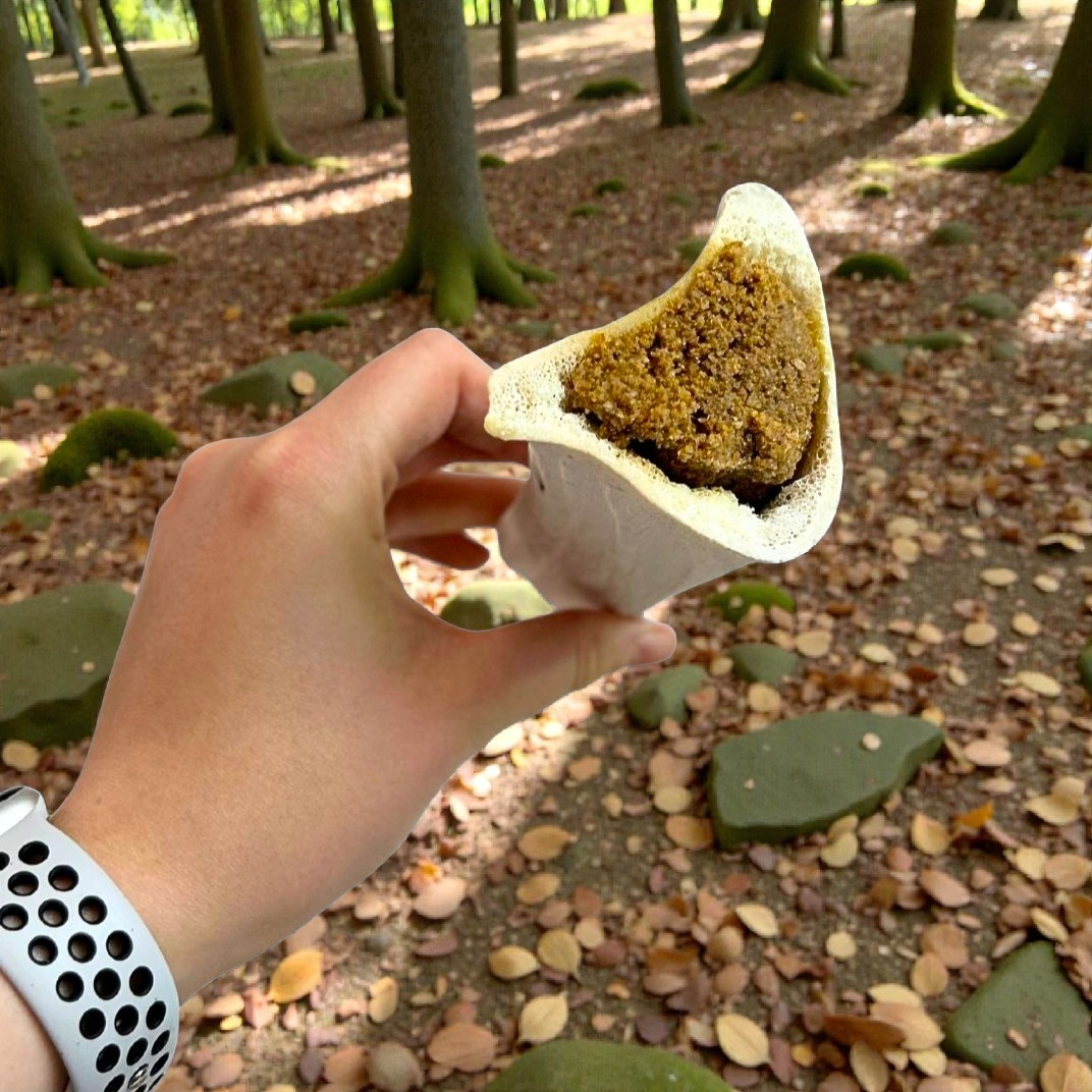 Peanut Butter Filled Bone