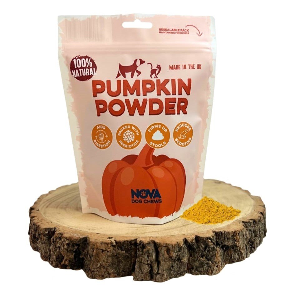 Pumpkin Powder 200g