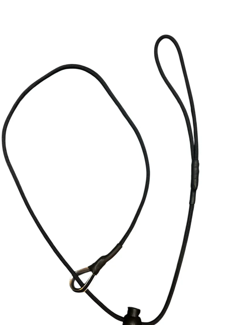 slip lead.webp