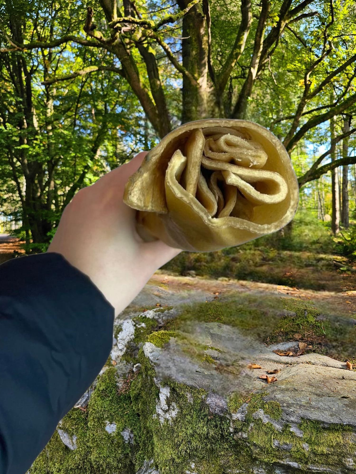 Jumbo ostrich bone 2.jpg
