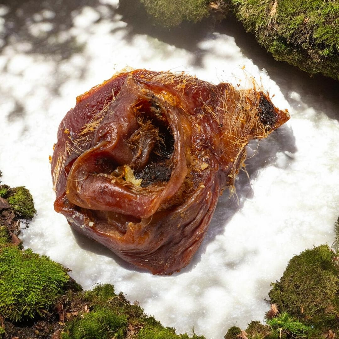 Pork Crunch (Inner Ear)