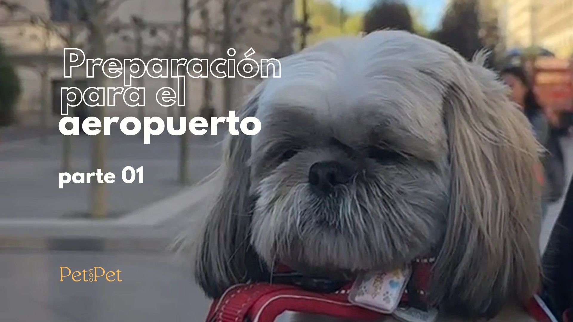 aeropuerto parte 02 (1).jpg