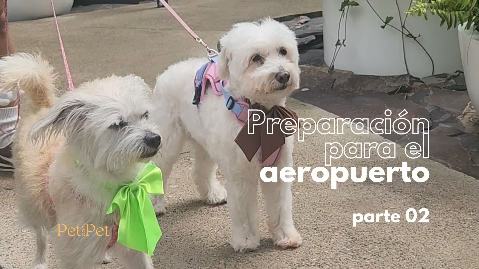 aeropuerto parte 02 (2).jpg