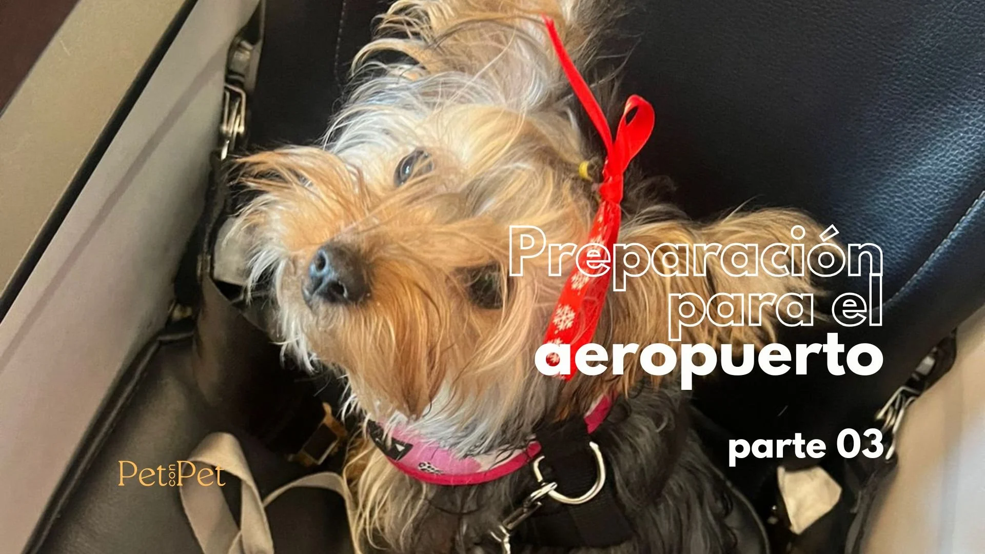 PORTADAS PAG WEB.jpg