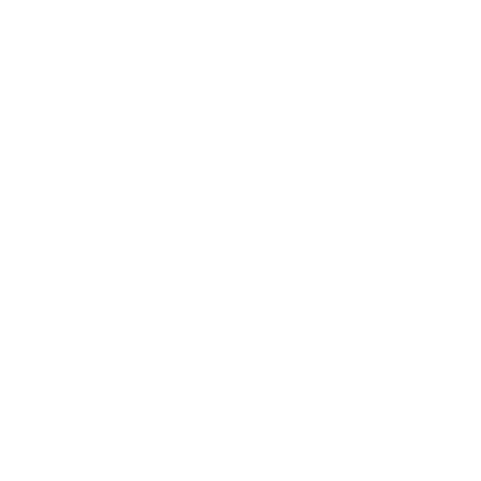 brand mark for the future project