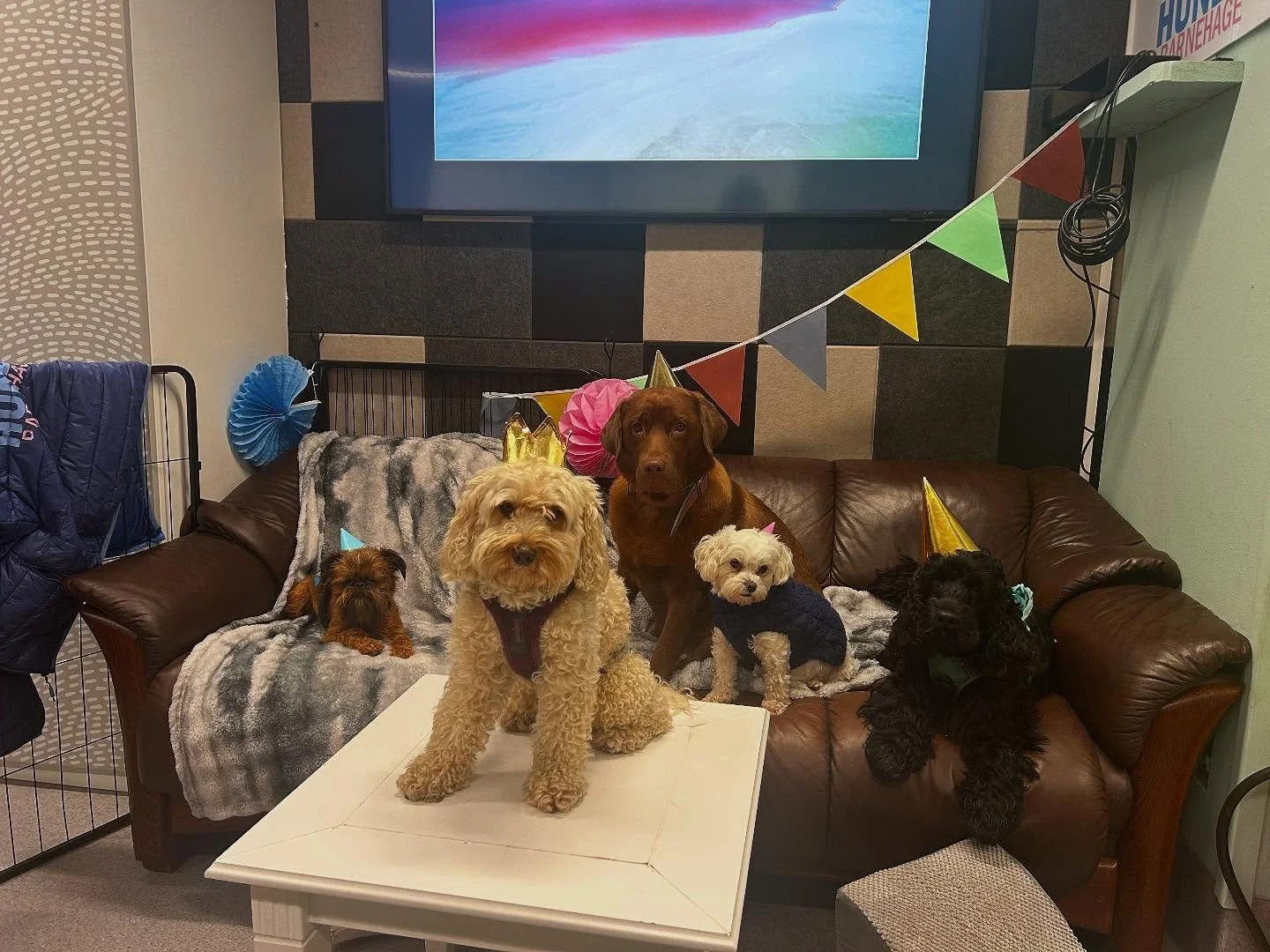 Ikke bare feiret Alvin bursdag idag, det var ogs&aring; masse g&oslash;y lek i sn&oslash;en! 🎉🥰