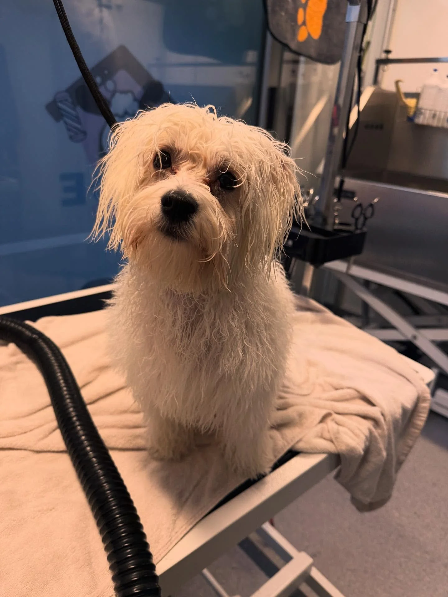 Se p&aring; meg 🥰🥰🥰🥰🥰🥰❤️❤️❤️