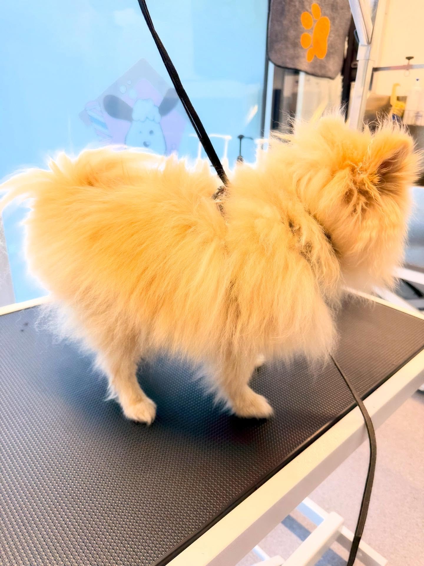 Sunshine 🥰🥰🥰🤩🤩🤩💕💕