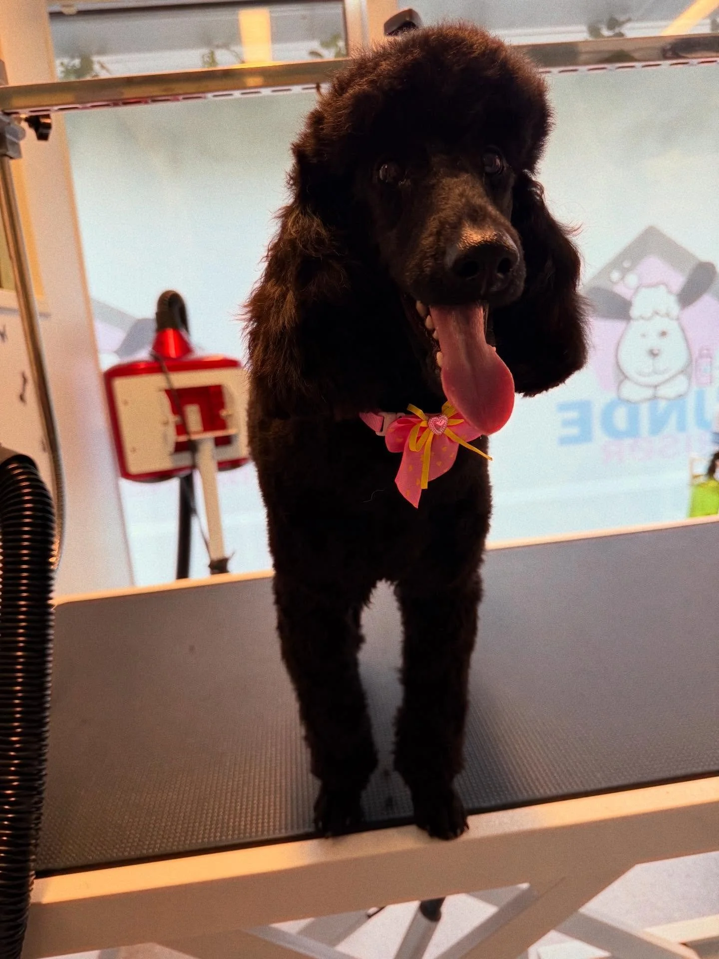 Bath tid❤️❤️❤️💕💕