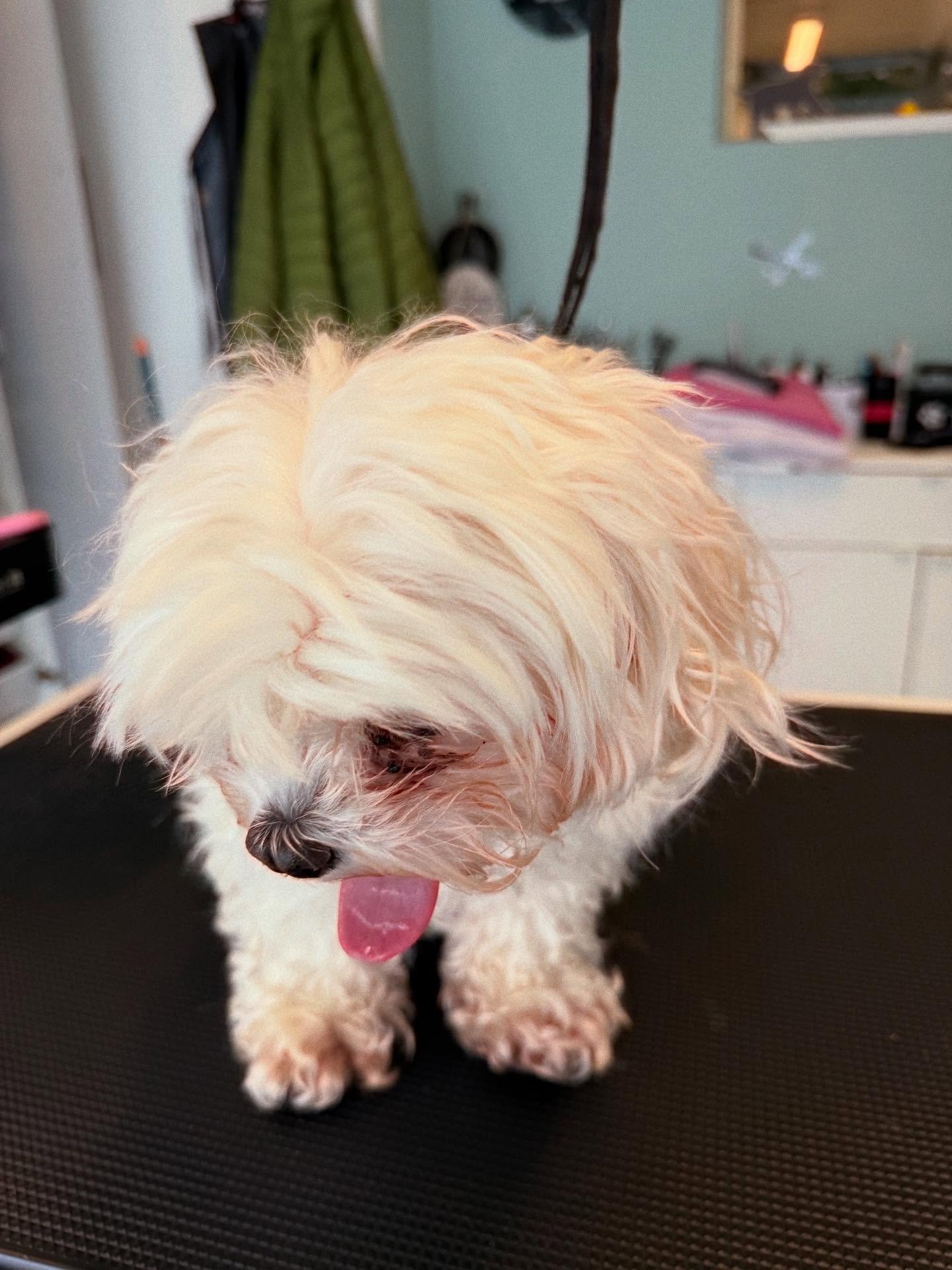 Hahaha❤️❤️❤️❤️