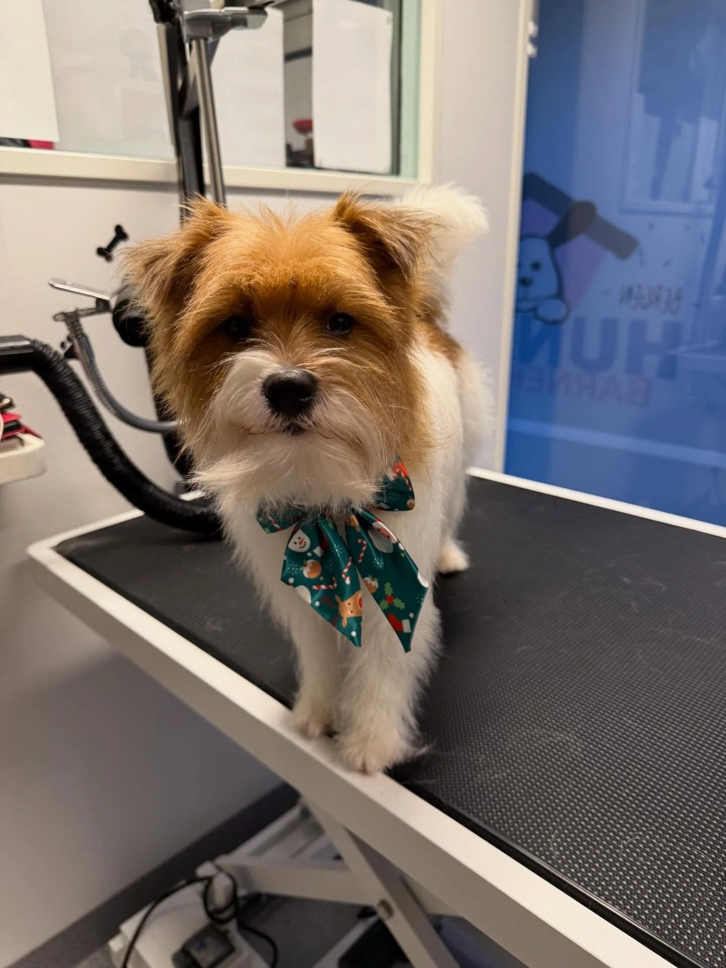 Klar til Jul 🎅 🎄🎄🎅🧑&zwj;🎄🧑&zwj;🎄🤶🤶🎄🎄❤️❤️❤️