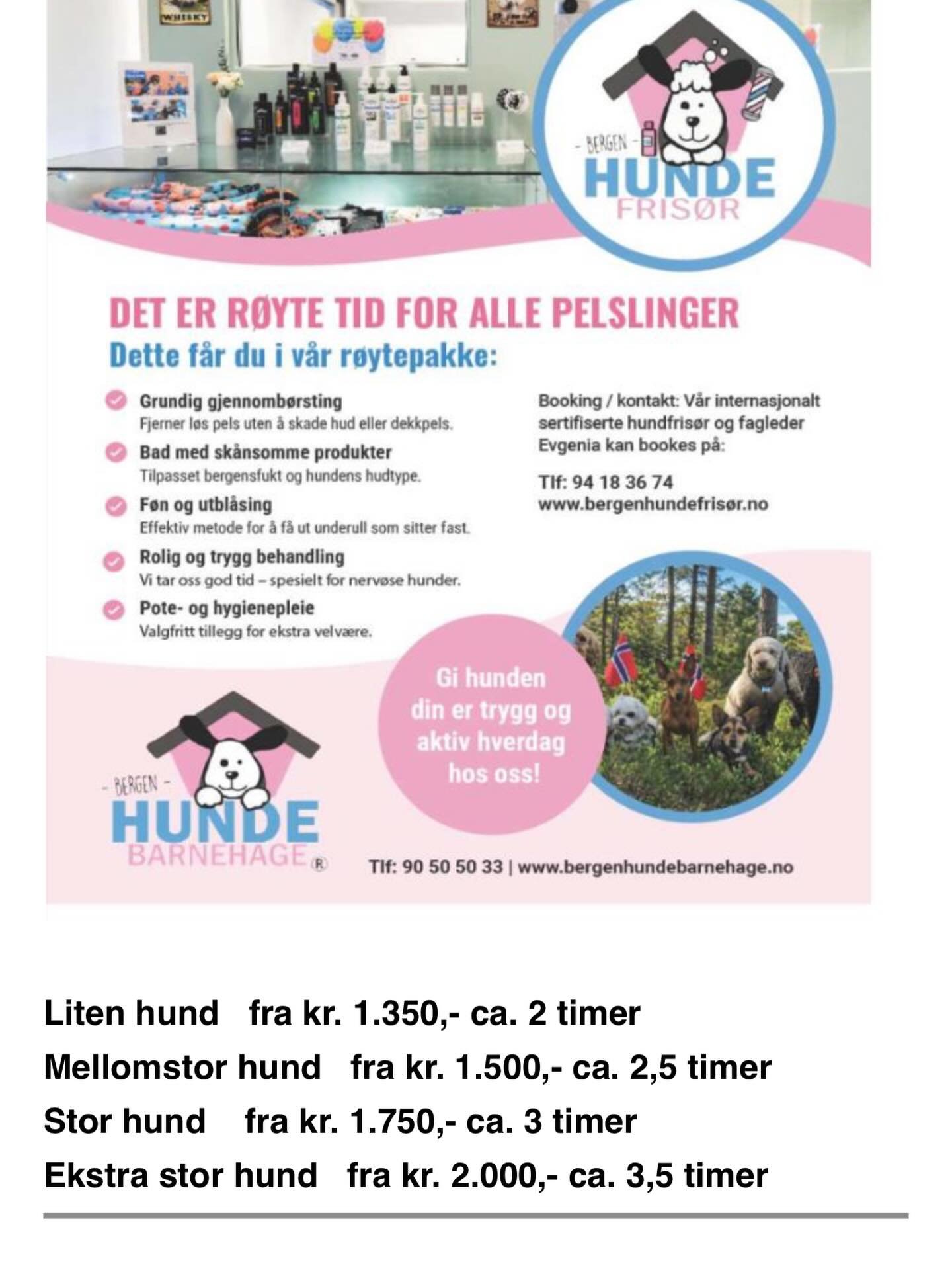 en ny mulighet for v&aring;re pelskledde venner 🥰🥰🐕🐕🐾🐾🐾💙💙💙