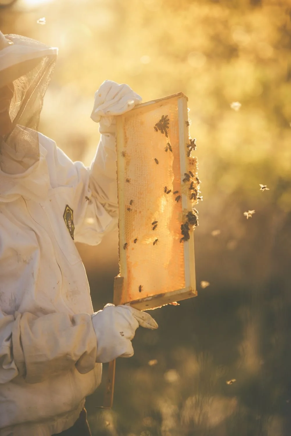 Bee Retreat at Peplow Hall