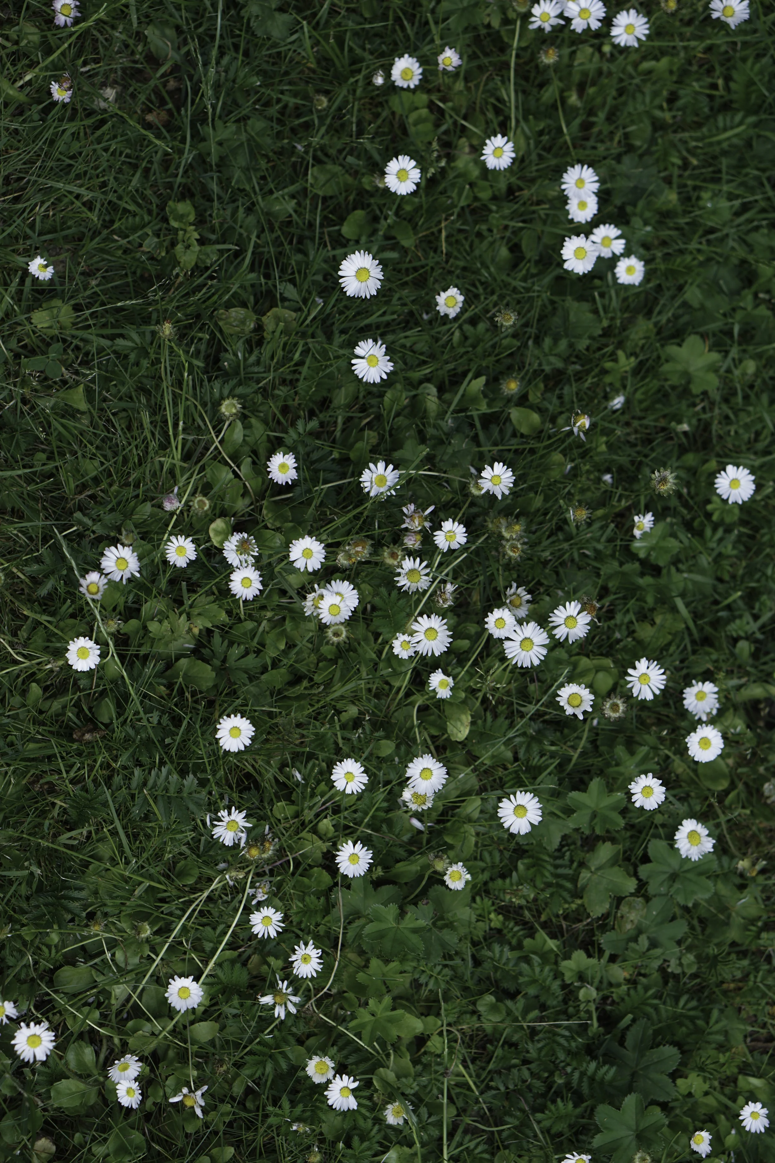 20230701-DSC04221.jpg