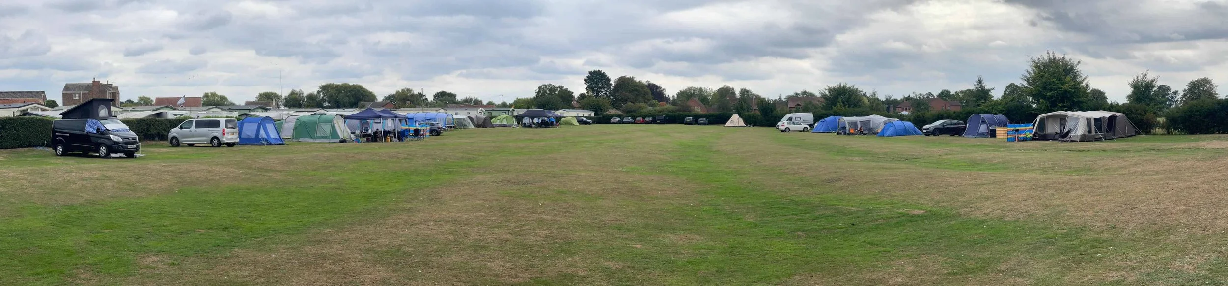 The field in summer
