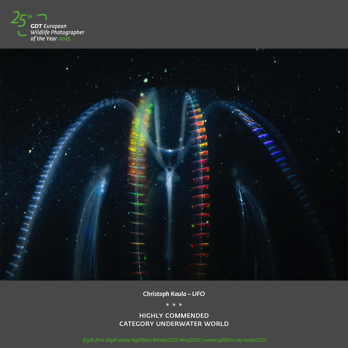 Ich freue mich sehr &uuml;ber zwei platzierte Bilder beim Europ&auml;ischen Naturfotografen des Jahres. 😊 Bild 1 zeigt eine Rippenqualle aus der Nordsee und das zweite Bild einen Urzeitkrebs. :)

#naturfotografie #fotografie #natur #meer #wildlife