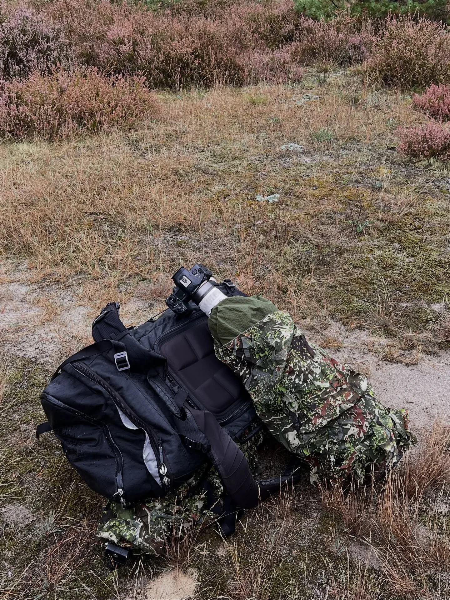 Die Suche nach dem Wolf ist beschwerlich. 
Es hat Wochen gedauert, bis wir ihn beobachten konnten, auch wenn seine Spuren allgegenw&auml;rtig waren. 

Die ganze Geschichte findet ihr auch in meinem neusten Buch. 😊

#wolf #nature #wildlife #wildlifep