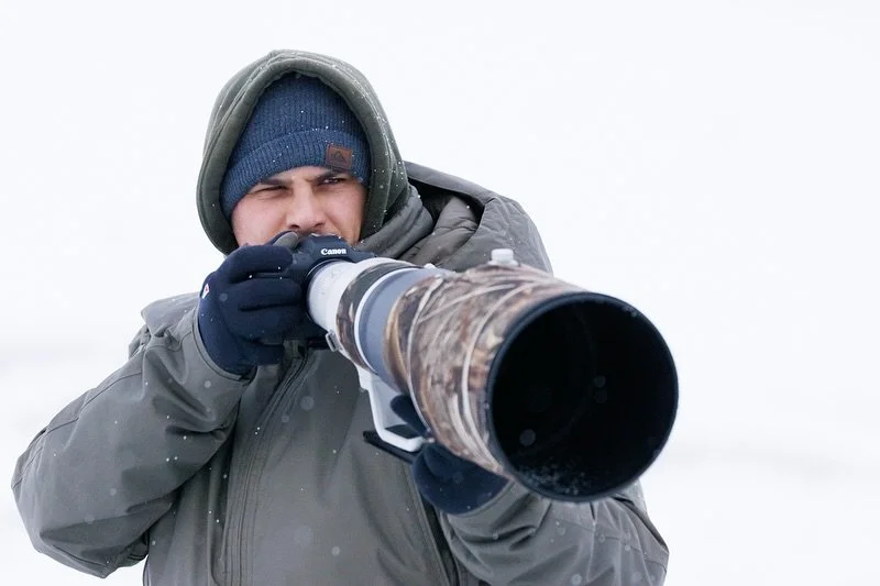 V&ouml;gel in den Bergen, Winteredition 😊
Bild 1 zeigt einen Bartgeier, einen der beeindruckendsten V&ouml;gel der Alpen. Au&szlig;erdem sind noch Schneesperling, Alpenbraunelle und Alpendohle mit dabei. Auch mein Kalender ist jetzt verf&uuml;gbar, 