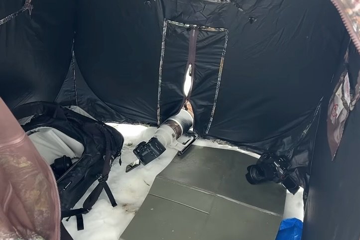 Habt ihr den Schnee schon genutzt? Ich leider noch nicht, daher gibt es einige Bilder aus dem letzten Winter! 😊

#schnee #fotografie #garten #natur #edersee