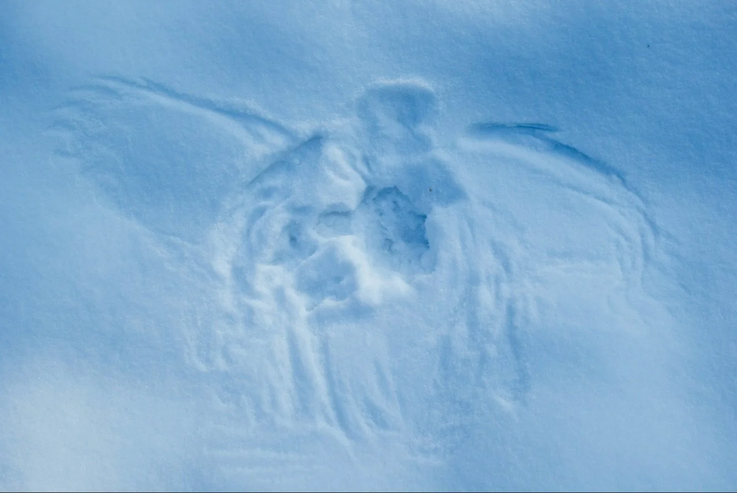 Hast du solch einen besonderen Abdruck auch schon einmal im Schnee gefunden? 😊

#habichtskauz #eule #schnee #fotografie