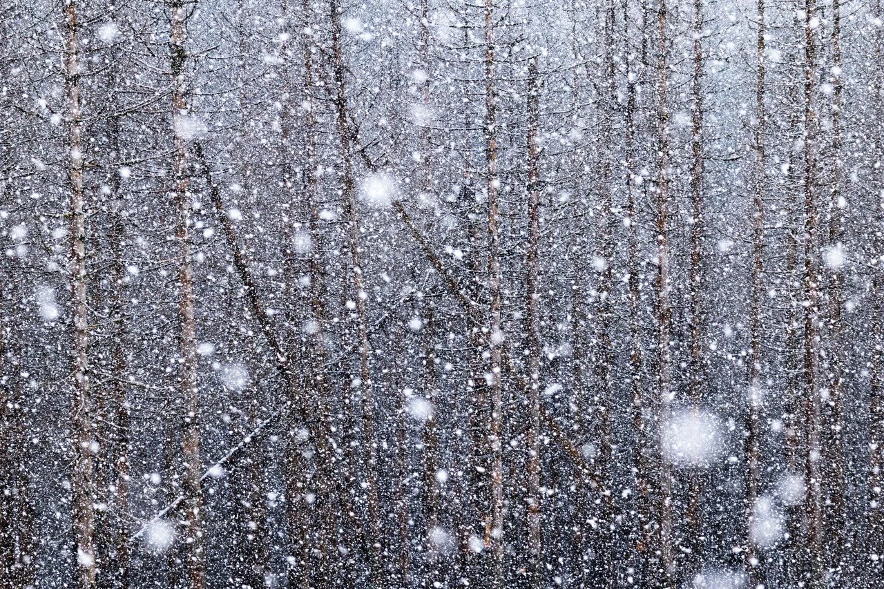 Wieder die selbe Szene, nur die Verschlusszeit variiert. 😀

#wald #fotografie #natur #wildlife